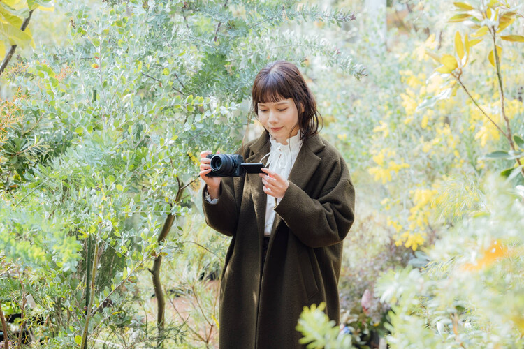 Nikon NIKKOR Z DX 24mm f/1.7  