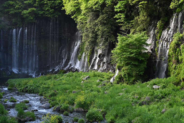 Nikon Nikkor Z 70-180mm f/2.8  