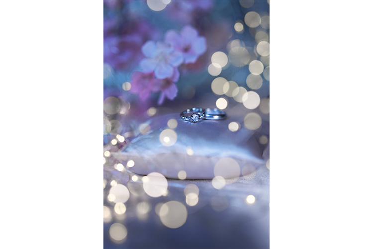 Nikon Nikkor Z 135mm f/1.8 S Plena  