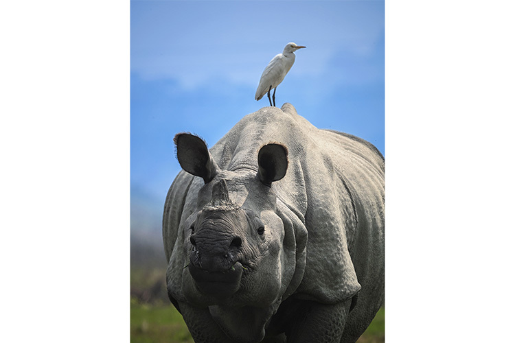 Nikon Z6 III z ob. 24-70mm f/4 S  