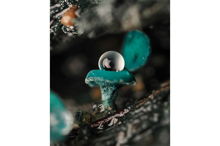 OM System M.Zuiko Digital 90mm f/3.5 Macro IS PRO (czarny)  