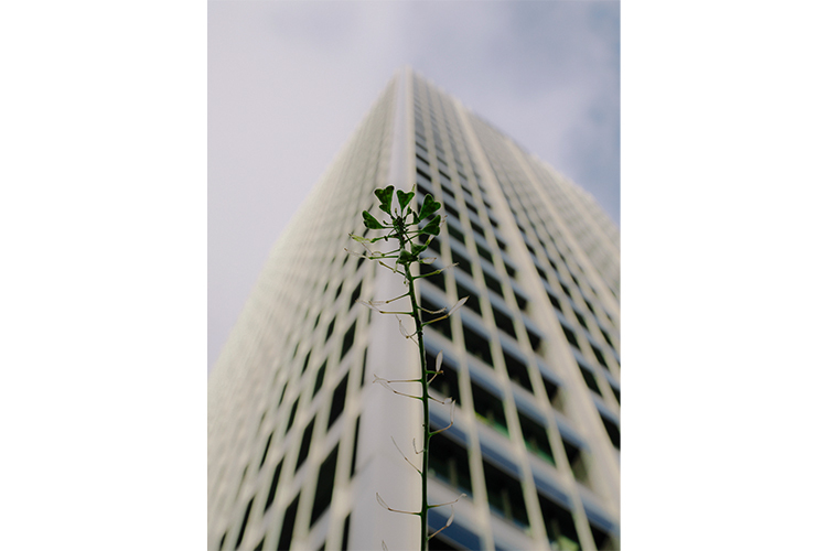 OM System OM-3 body (srebrny)  