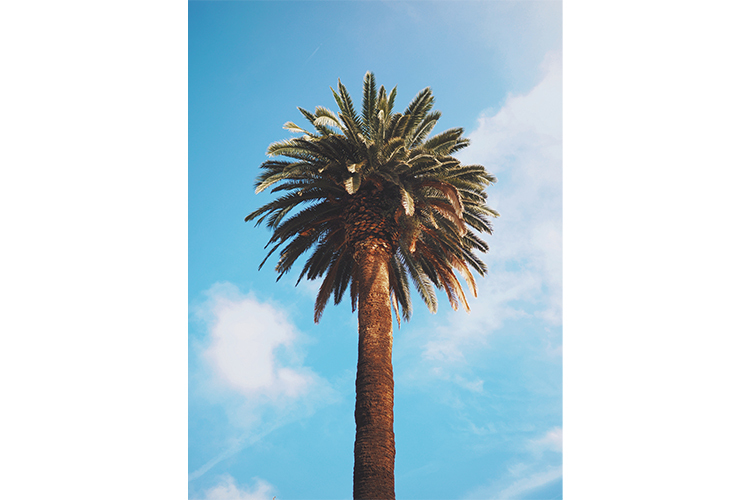 OM System M.ZUIKO DIGITAL 17mm f/1.8 II Czarny  