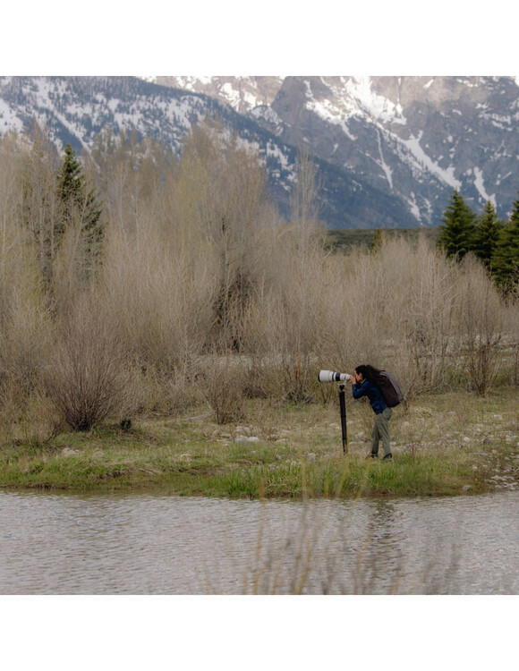 Statyw Peak Design PRO Tripod (włókno węglowe) PT-T-BK-1