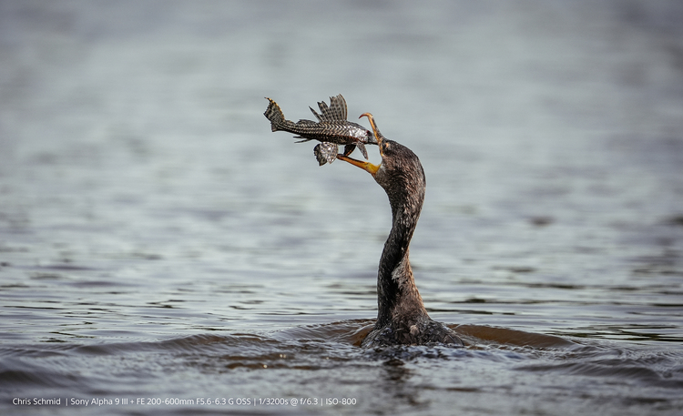 Sony A9 III (ILCE-9M3) Body    