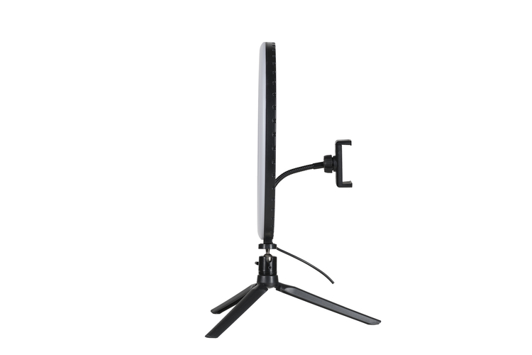 Quadralite LED Ring Light 12