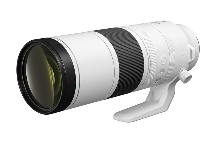 Canon RF 200-800mm f/6.3-9 IS STM