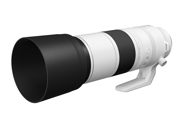 Canon RF 200-800mm f/6.3-9 IS STM  