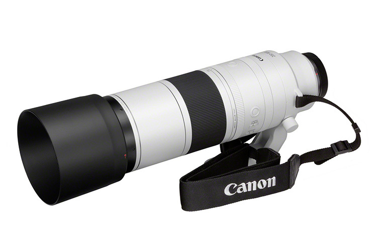 Canon RF 200-800mm f/6.3-9 IS STM  