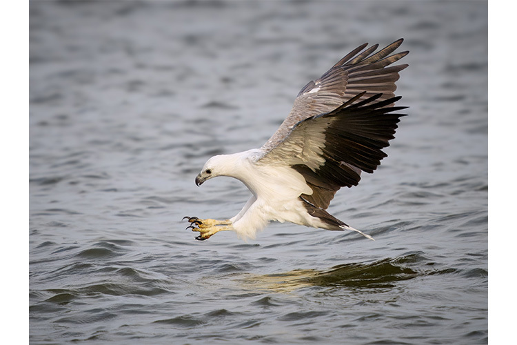 OM System OM-1 II body (czarny)  