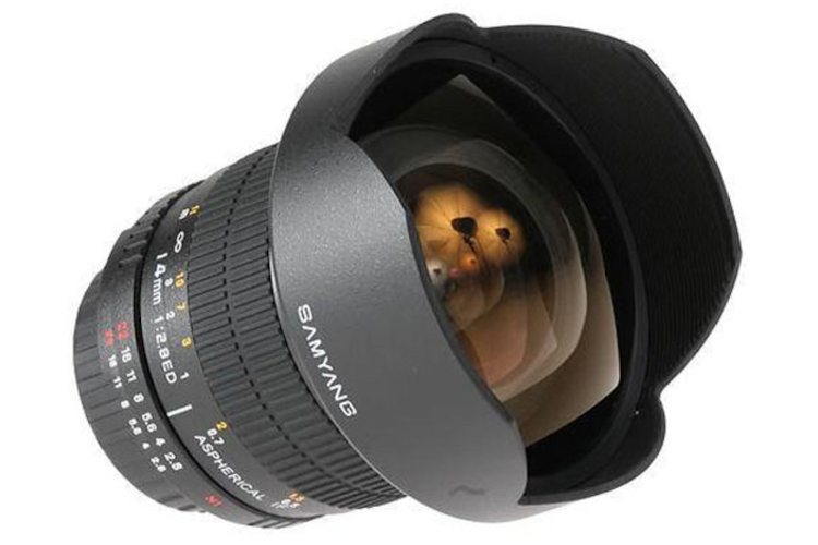 Samyang 14mm f/2.8 ED AS IF UMC (Sony E)