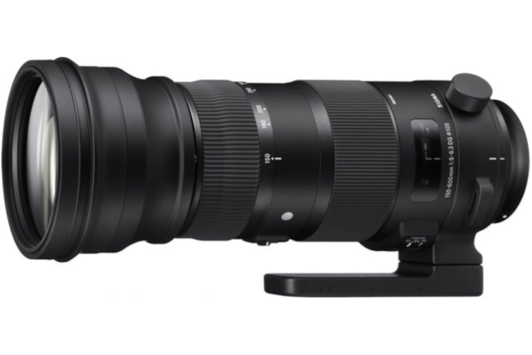 Sigma 150-600mm f/5-6.3 S DG OS HSM (Canon)