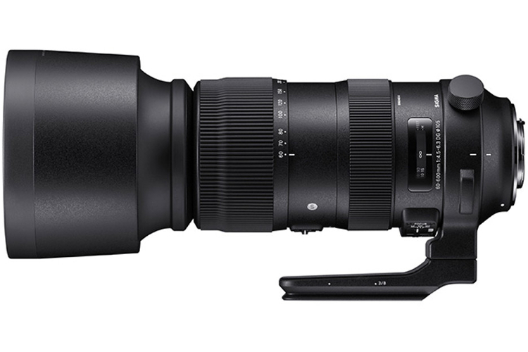 Sigma S 60-600mm f/4.5-6.3 DG OS HSM (Canon)