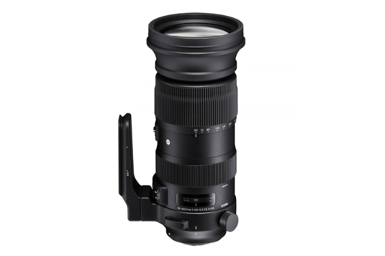 Sigma S 60-600mm f/4.5-6.3 DG OS HSM (Canon)  