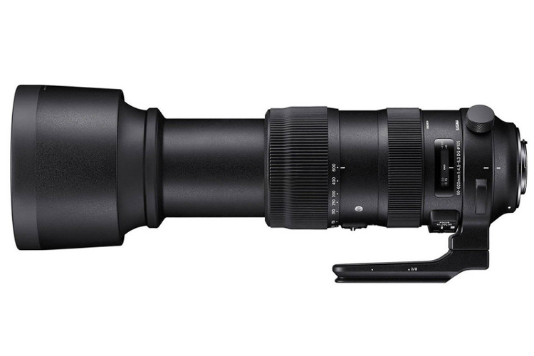 Sigma S 60-600mm f/4.5-6.3 DG OS HSM (Canon)  