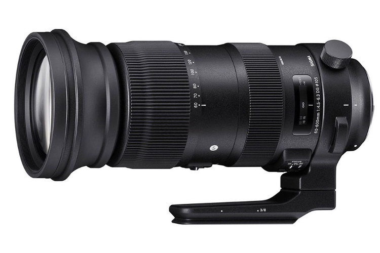 Sigma S 60-600mm f/4.5-6.3 DG OS HSM (Nikon)  