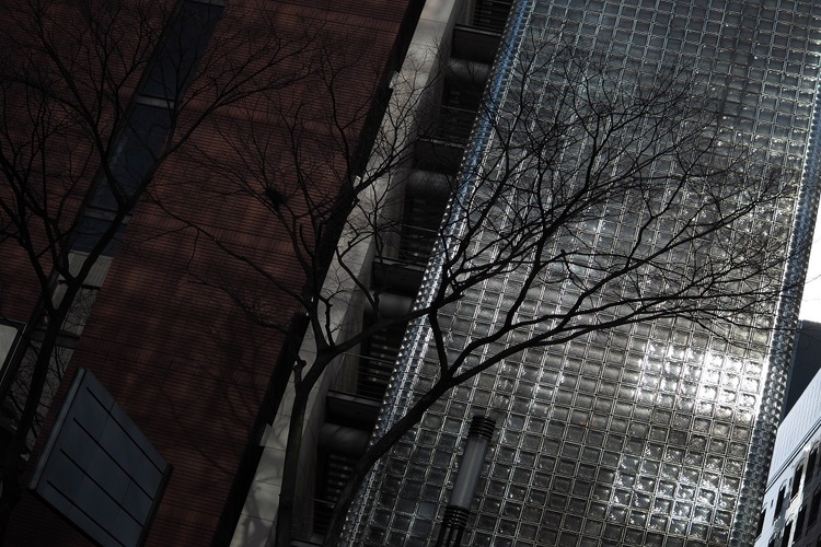 Sigma C 30mm f/1.4 DC DN (Nikon Z)  