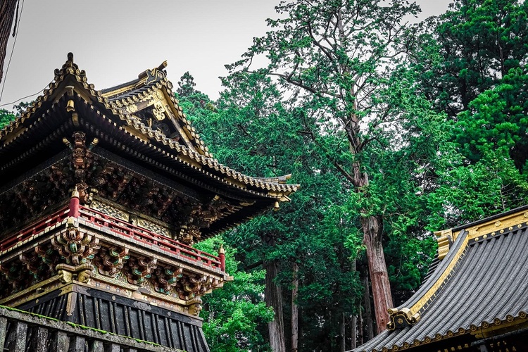 Sigma C 30mm f/1.4 DC DN (Nikon Z)  