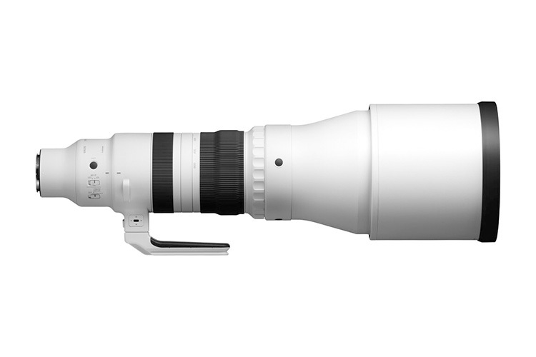 Sigma S 300-600mm f/4 DG OS SONY E  