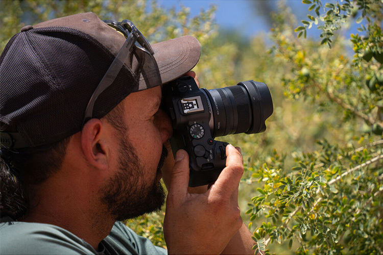 Sigma C 15mm f/1.4 DC (Canon RF)  