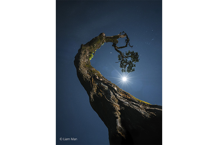 Sony FE 20-70mm f/4 G (SEL2070G)  