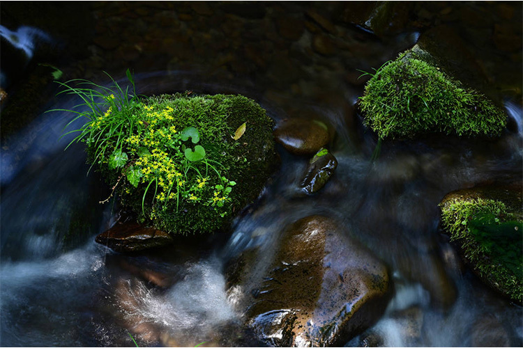 Tamron 70-300mm f/4.5-6.3 Di III RXD (Nikon Z)