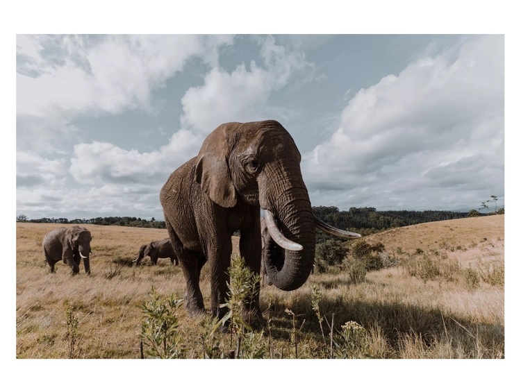 Tamron 11-20mm f/2.8 Di III-A RXD (Fuji X)