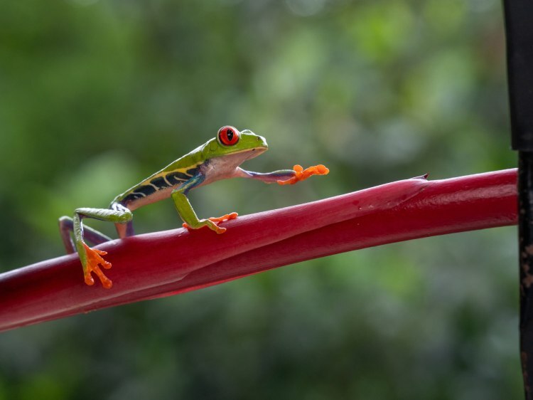 Tamron 90mm f/2.8 Di III VXD (Sony E)