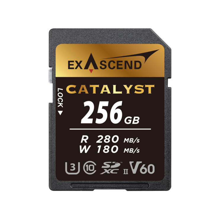 Karta pamięci ExAscend Catalyst UHS-II V60 256GB