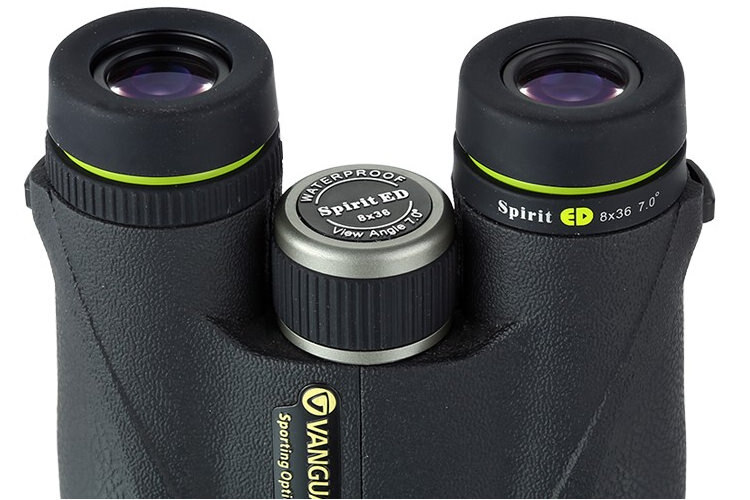 Lornetka 8-36 Vanguard Spirit ED 8360.
