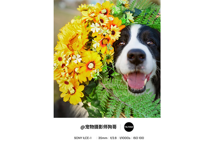 VILTROX AF 35mm 1.2 LAB (Sony FE)