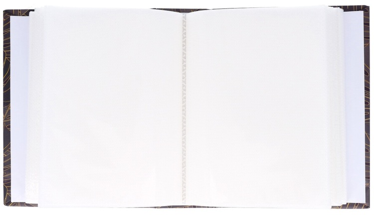 Album MODUS 10X15/100 LEAF /D1351