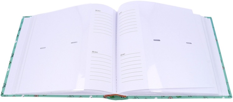 Album Modus 10X15 200 FLOWER 6713