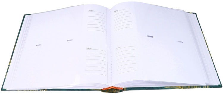 Album Modus 10X15 200 GOLD