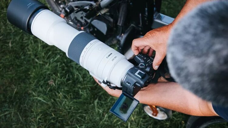 Canon RF 200-800mm f/6.3-9 IS STM  