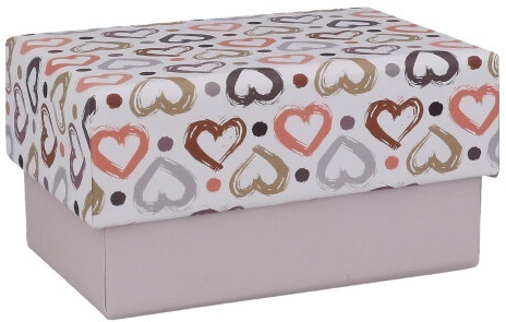 Pudełko na zdjęcia INSTAX MINI Hearts 3551