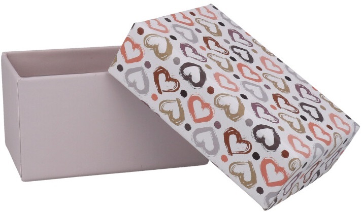 Pudełko na zdjęcia INSTAX MINI Hearts 3551