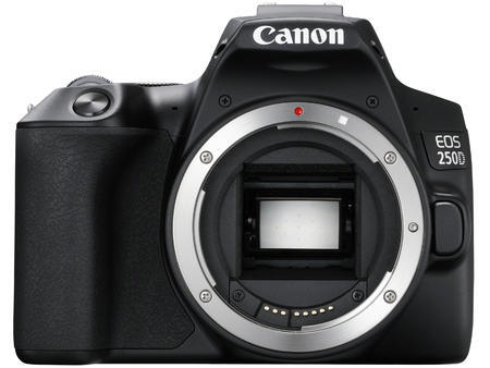 Canon EOS 250D (body)