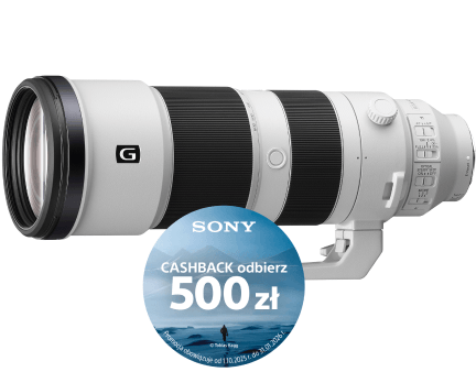FE 200-600mm F5.6-6.3 G OSS