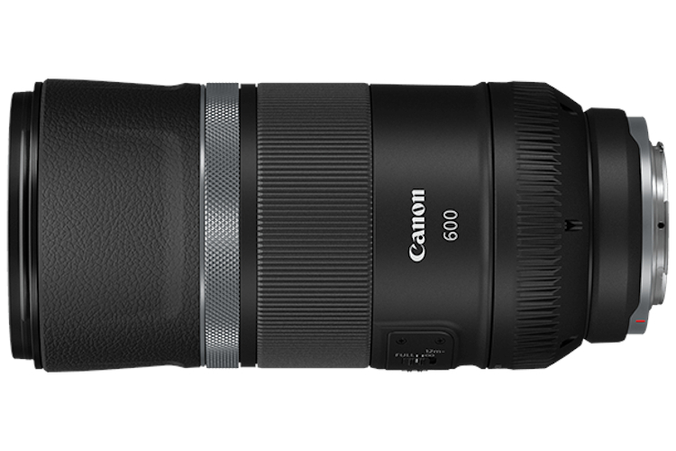 Canon RF 600mm f/11 IS STM   Canon RF 600mm f/11 IS STM