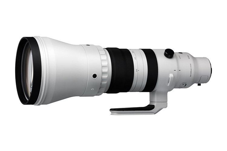 Sigma S 300-600mm f/4 DG OS SONY E  