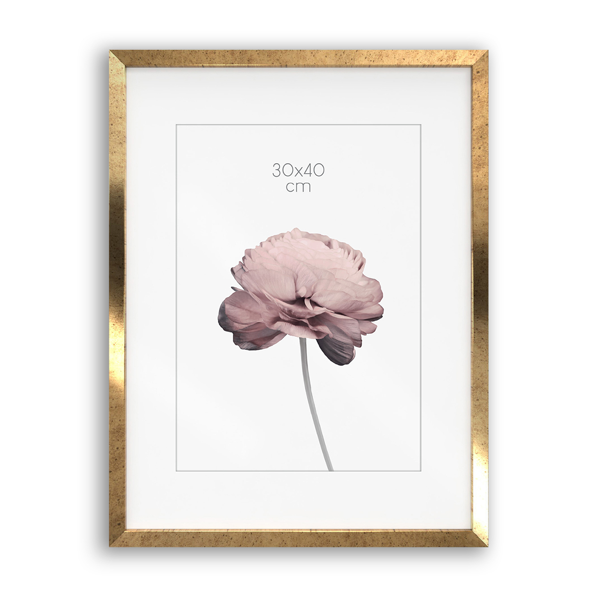 Ramka Styler Prague - różne kolory i formaty - Stare złoto, 30x40, 30x40