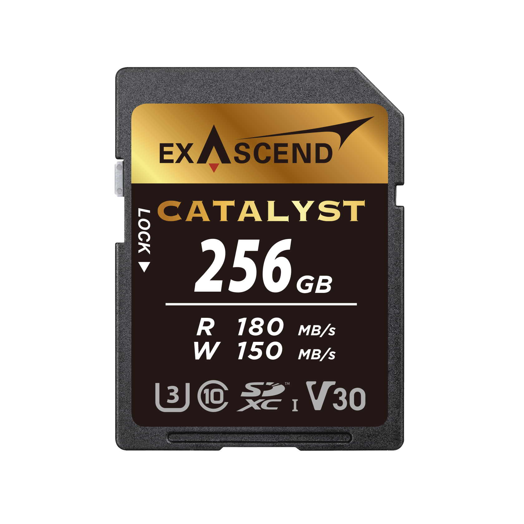Karta pamięci ExAscend Catalyst UHS-I V30 256GB