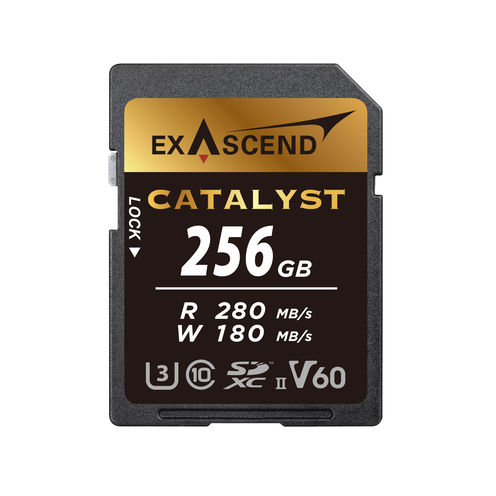 Karta pamięci ExAscend Catalyst UHS-II V60 256GB