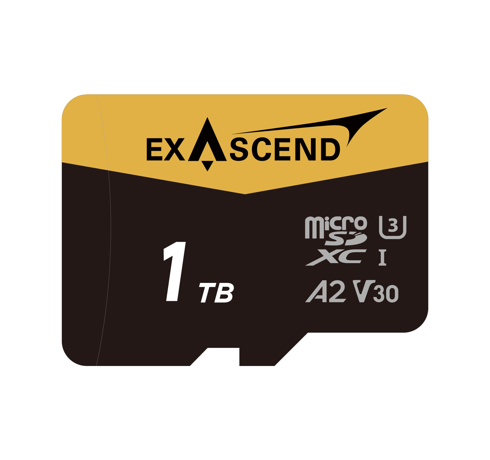 Karta pamięci ExAscend Catalyst UHS-I micro 1TB