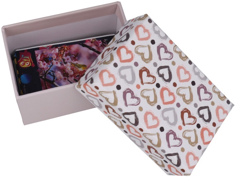 Pudełko na zdjęcia INSTAX MINI Hearts 3551