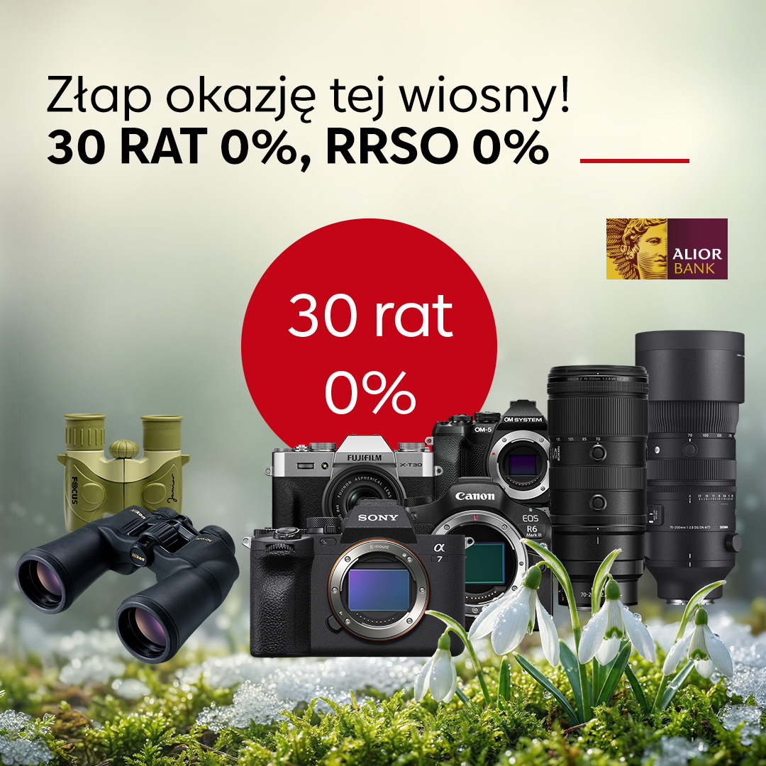 <center>30 rat 0%</center>